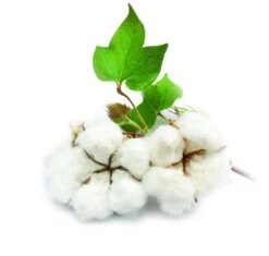 Black & Decker BLACK+DECKER DVA325JP07-QW - Kruimeldief - 10.8V - 500ml Opvangbank -Black & Decker 1200x1140 1