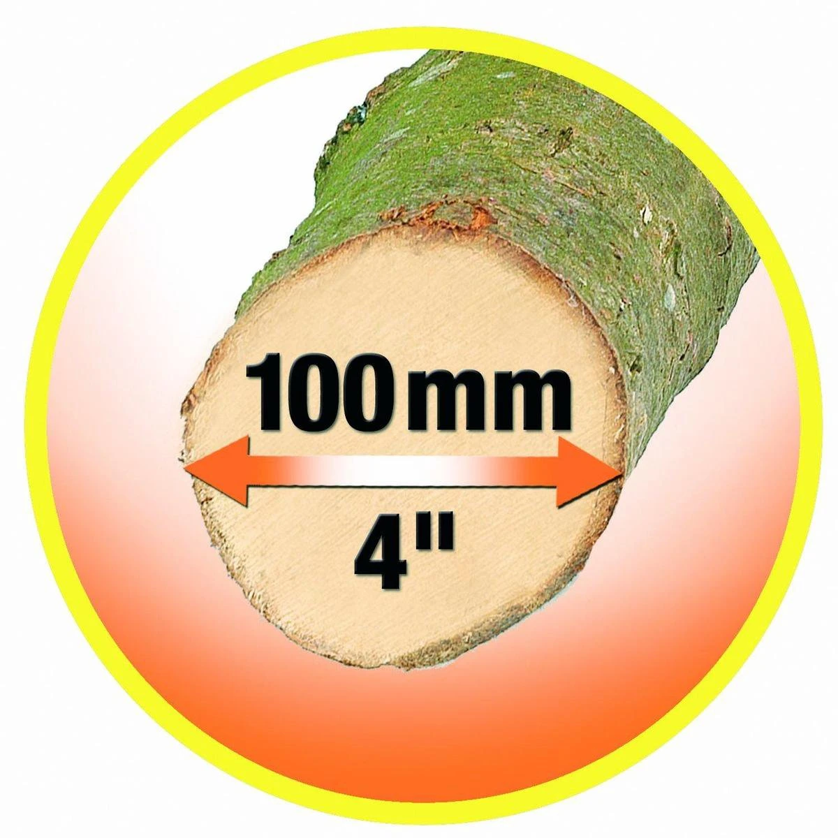 Black & Decker BLACK+DECKER GK1000-QS Alligator Snoeizaag - 550W - 10cm - Gesnoerd 5 Black & Decker BLACK+DECKER GK1000-QS Alligator Snoeizaag - 550W - 10cm - Gesnoerd - Afbeelding 3