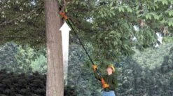 Black & Decker BLACK+DECKER GPC1820L20-QW Telescopische Takkenzaag - 20cm Zwaardlengte - Met 18V 2.0Ah Lithium Accu 10 Black & Decker BLACK+DECKER GPC1820L20-QW Telescopische Takkenzaag - 20cm Zwaardlengte - Met 18V 2.0Ah Lithium Accu -Black & Decker 1200x667