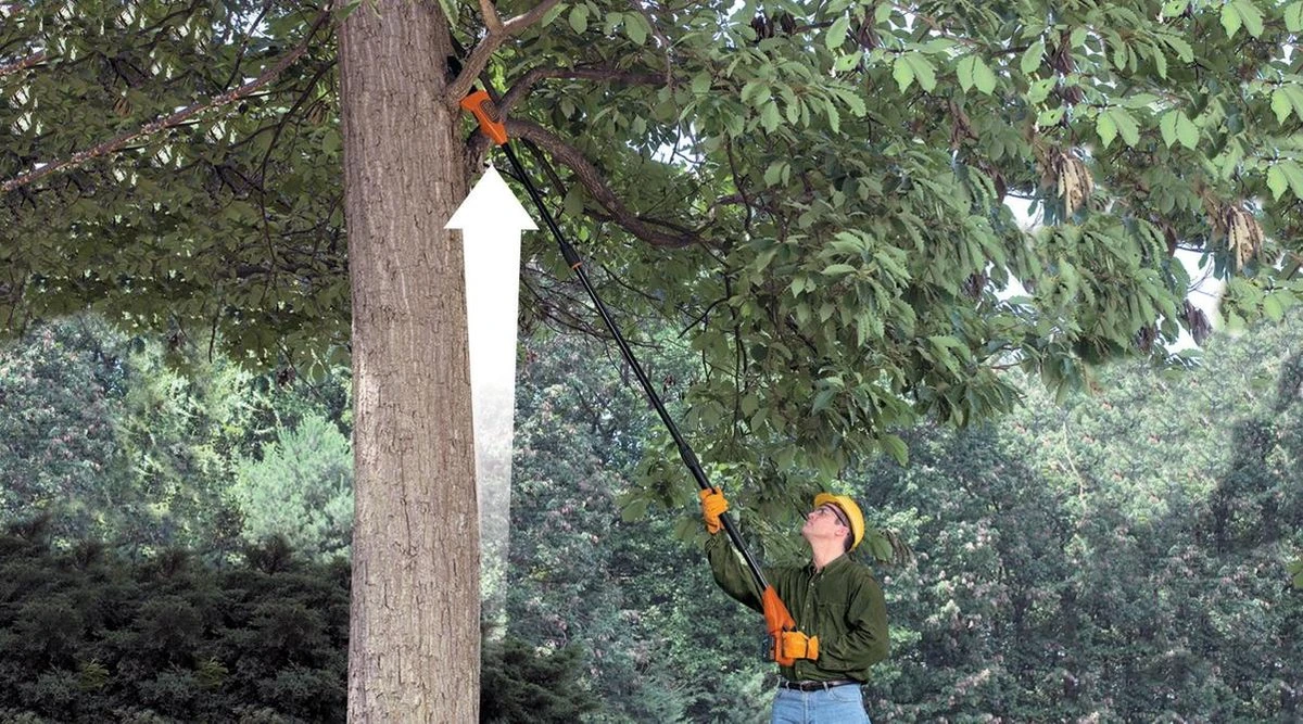 Black & Decker BLACK+DECKER GPC1820L20-QW Telescopische Takkenzaag - 20cm Zwaardlengte - Met 18V 2.0Ah Lithium Accu 6 Black & Decker BLACK+DECKER GPC1820L20-QW Telescopische Takkenzaag - 20cm Zwaardlengte - Met 18V 2.0Ah Lithium Accu - Afbeelding 4