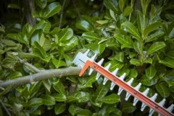 Black & Decker BLACK+DECKER BCHTS3625L1-QW Heggenschaar - 36V - 55cm - Inclusief Accu En Lader 15 Black & Decker BLACK+DECKER BCHTS3625L1-QW Heggenschaar - 36V - 55cm - Inclusief Accu En Lader -Black & Decker 1200x800 42