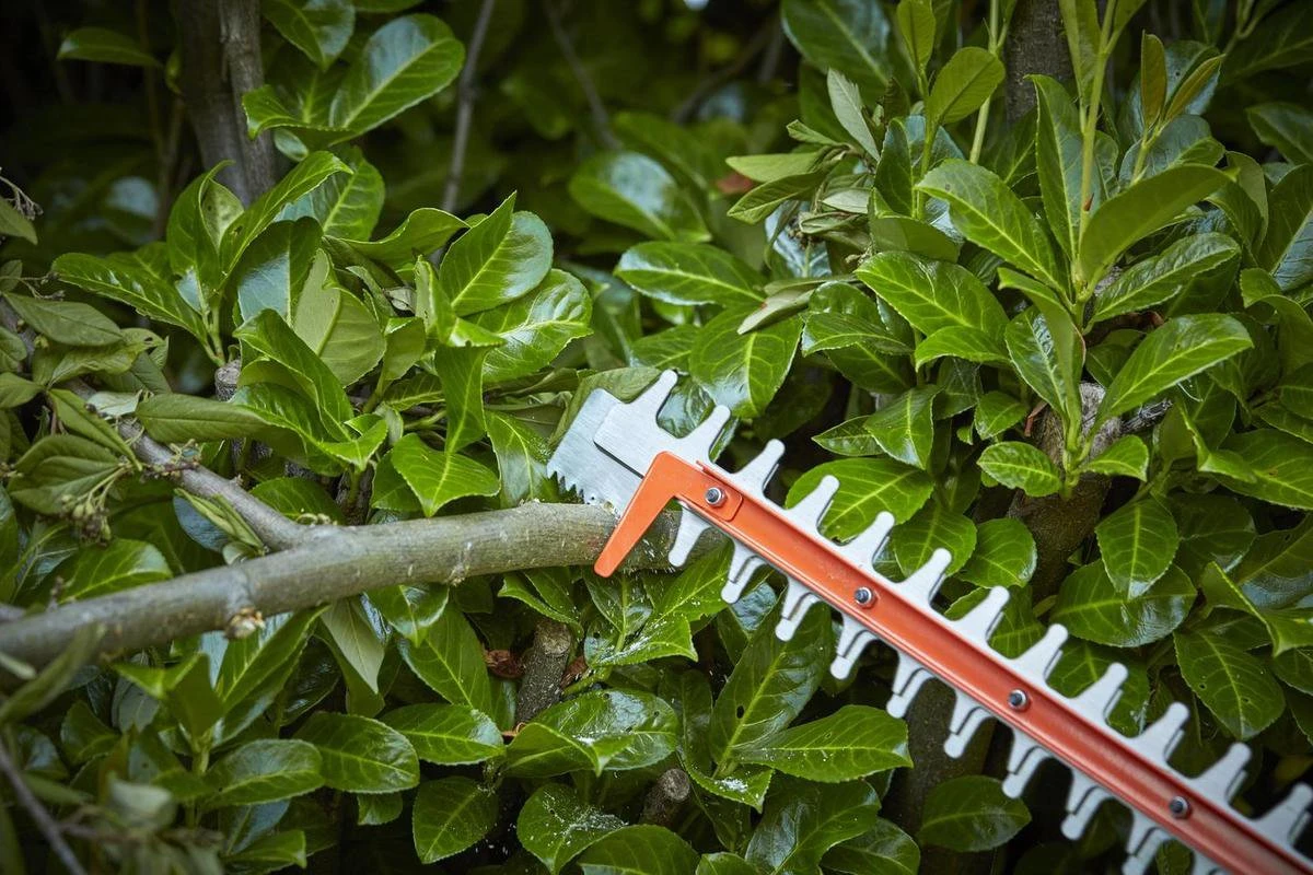 Black & Decker BLACK+DECKER BCHTS3625L1-QW Heggenschaar - 36V - 55cm - Inclusief Accu En Lader 9 Black & Decker BLACK+DECKER BCHTS3625L1-QW Heggenschaar - 36V - 55cm - Inclusief Accu En Lader - Afbeelding 7