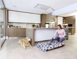 Black & Decker BLACK+DECKER DVA325JP07-QW - Kruimeldief - 10.8V - 500ml Opvangbank -Black & Decker 1200x916